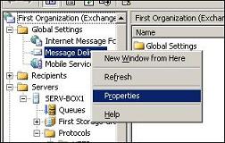 Message Delivery Properties